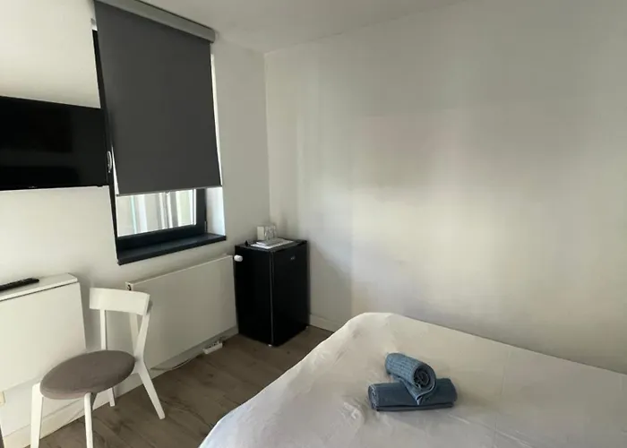 Maremi Тімішоара